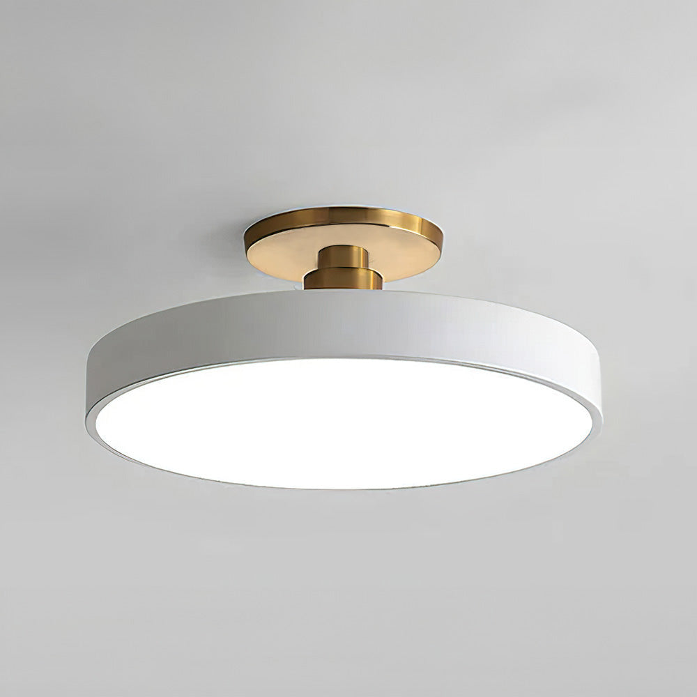 Ceiling Light – LED Semi Flush Mount – Diameter: 11.8/15.7/19.7/23.6 inches – Energy Efficient Design for Hallways, Dining Rooms, and Bedrooms 12