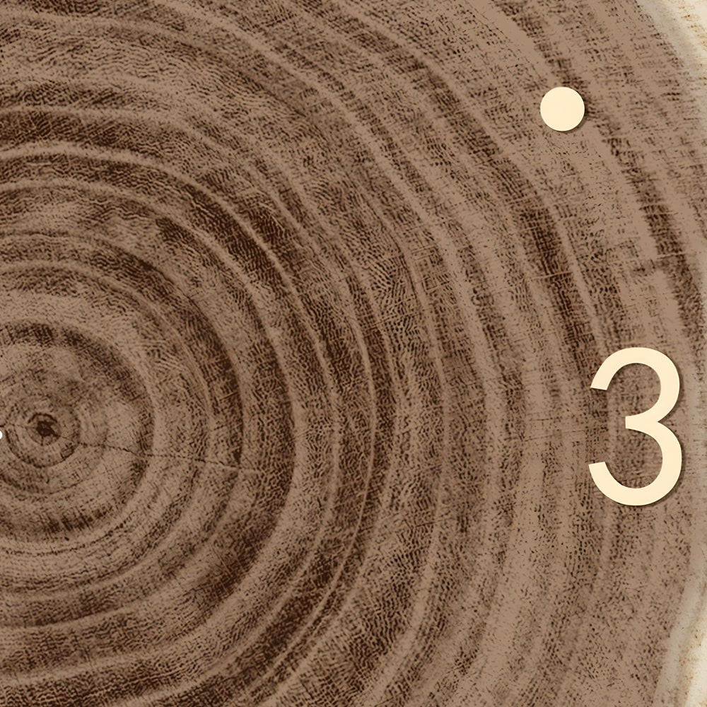 Wood Slice LED Wall Clock | Frameless Clock with Remote | Wabi-Sabi Japanese Style